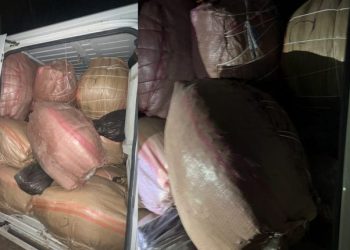 مراكش.. حجز نحو طن من مخدر الكيف و186 كيلوغراما من أوراق التبغ المهرب بضواحي قلعة السراغنة