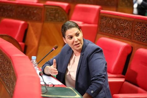 قانون المالية 2027.. الحكومة المرتقبة مطالبة بإيداع المشروع قبل 20 أكتوبر