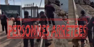 أكادير.. إحالة شخصين على النيابة العامة للاشتباه في تعني-ف  قاصر وتحريض كلب شرس على أطفال
