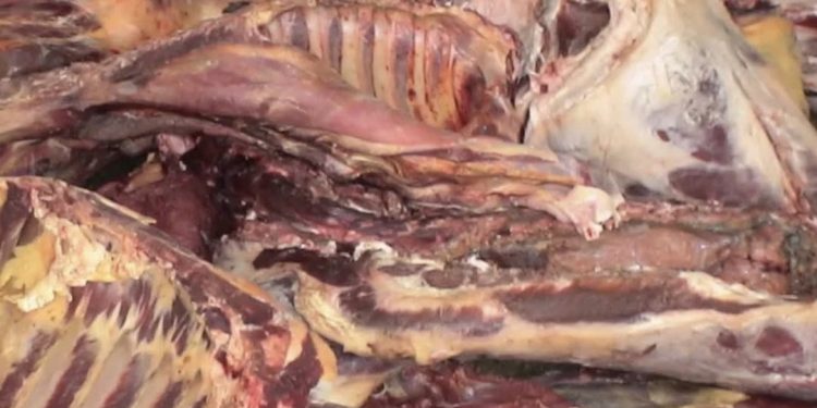 طنجة على صفيح ساخن.. حجز 227 كيلوغراماً من اللحوم المشبوهة وتوقيف السائق باكزناية