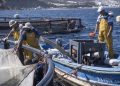 أزمة الكازوال تخنق الصيد الساحلي بطنجة.. والربابنة يلوّحون بتوقيف المراكب