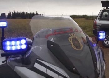 سيدي قاسم.. فيديو صادم لشخص مكبّل إلى شجرة يقود إلى متابعة 3 أشخاص قضائياً