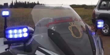 سيدي قاسم.. فيديو صادم لشخص مكبّل إلى شجرة يقود إلى متابعة 3 أشخاص قضائياً
