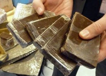 تنغير.. سقوط شبكة لترويج المخدرات تضم امرأتين وحجز 28 كيلوغراما من الشيرا