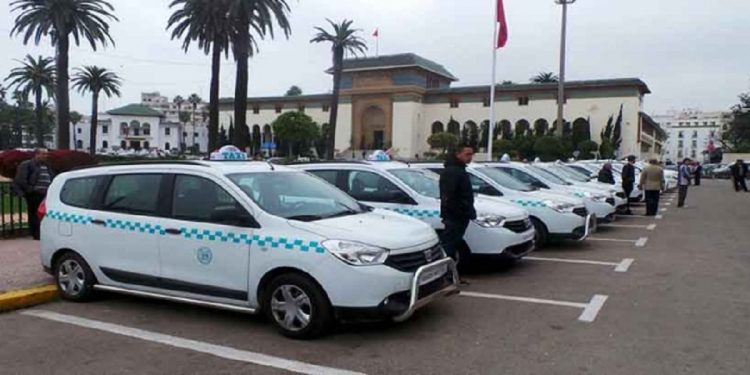 وزارة النقل تعلن رفع قيمة الدعم المخصص لمهنيي النقل